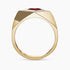 Diamond and Gem Stone Ring for Men