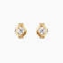 0.25Ct. Diamond Earrings mounted in 14K Yellow Gold