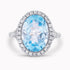 Diamond and Gem Stone Ring
