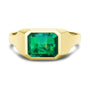Diamond and Gem Stone Ring for Men